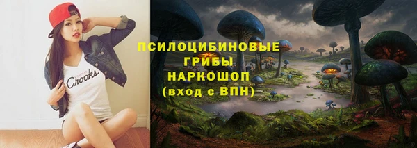 spice Алзамай