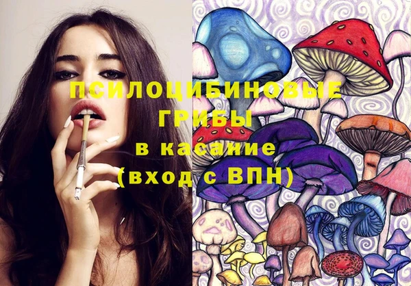 крисы Алексеевка
