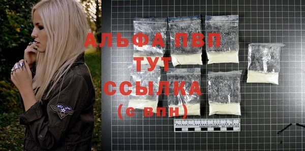 стафф Алексин