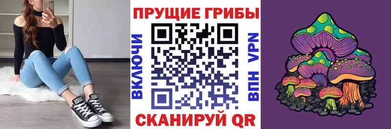 Псилоцибиновые грибы Psilocybe Ивантеевка